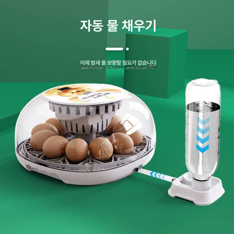 병아리 거위 부화기 자동 온도조절 육추 소형 인큐베이터 전자동 사육기 - 상세 이미지 4
