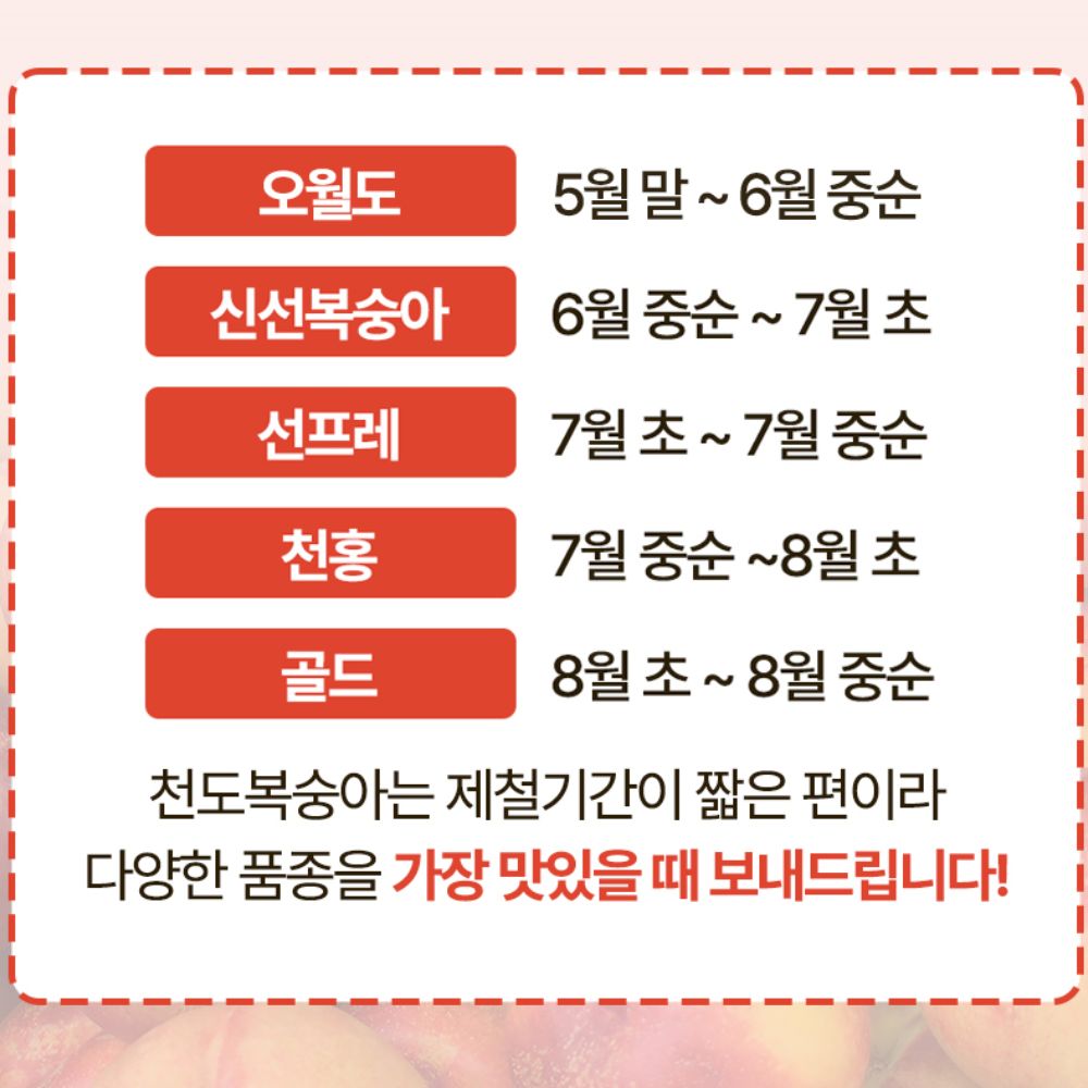 경북 고당도 천도복숭아 1kg 중과 9~11과 - 상세 이미지 4