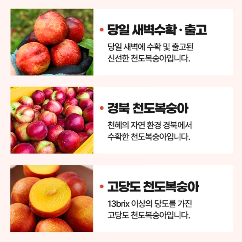 경북 고당도 천도복숭아 1kg 중과 9~11과 이미지 7
