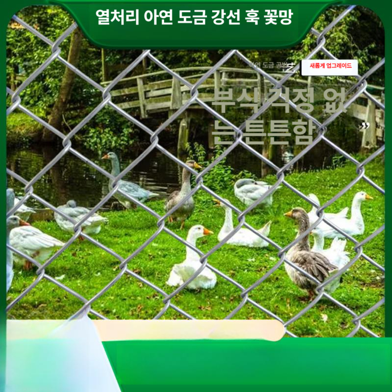 닭장 철망 울타리 안전 휀스 와이어 능형망 양계 축사 보호망 철조망 - 상세 이미지 3