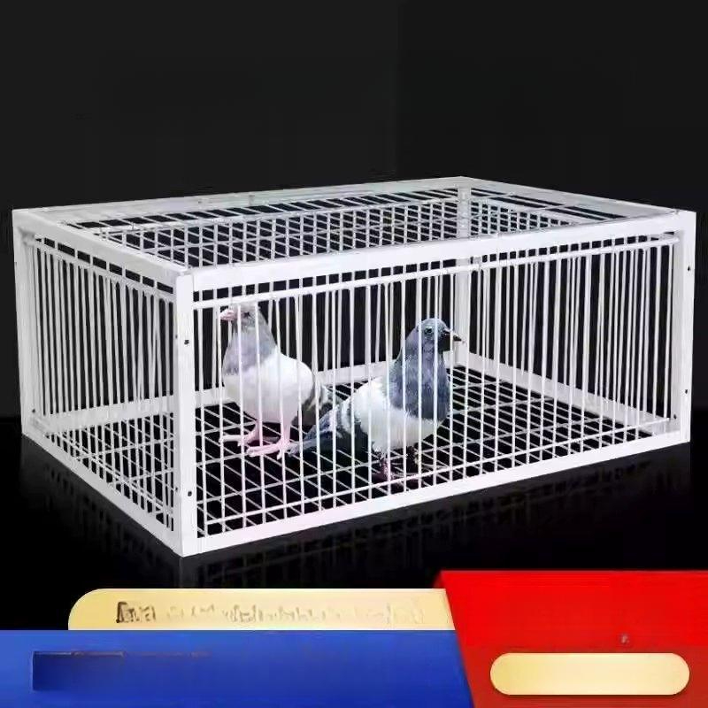 새 포획 퇴치 철제 대형 옥상 덫 안전 조립식 까치 참새 방지 격자망 포획틀 설치 - 상세 이미지 2