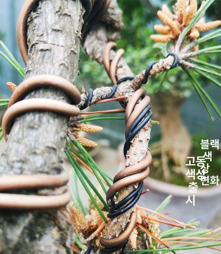분재 철사 결속끈 식물 지지대 원예 고정끈 조경용 알루미늄 묶음 포장끈 - 상세 이미지 4