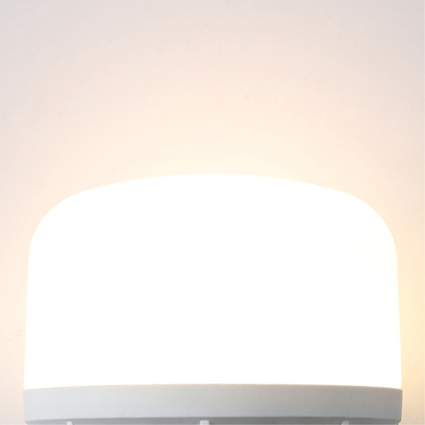 LED T-벌브 W2 30W 전구색 E39 줄조명 가로등 보안등 글러브 전구 조명 비츠온 - 상세 이미지 4