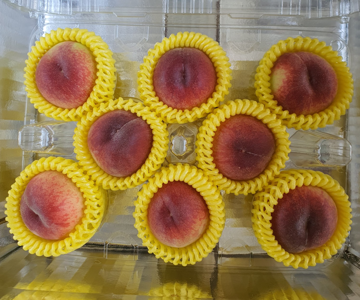복숭아 추천 백도 복숭아 말랑이 복숭아 노지 복숭아 복숭아 구매가이드