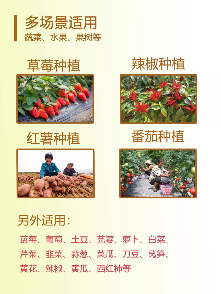 점적호스 농업용 물호스 경질 고압 튜브 점적호스 농수관 노즐 - 상세 이미지 4