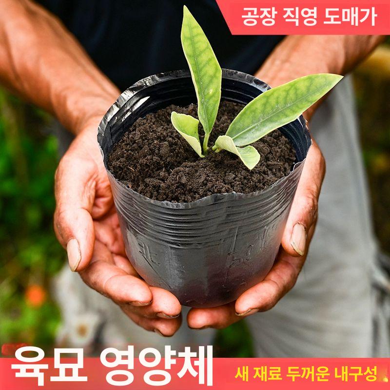 화분 플라스틱 모종포트 원예 육묘용 분갈이 나무심기 정원용 흙심기 가드닝 재배용품 일회용 - 상세 이미지 3