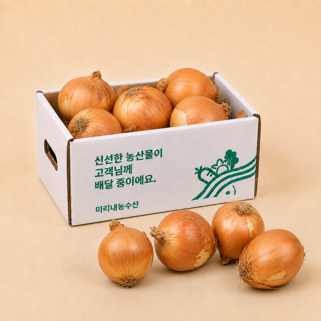 25년 무안 햇 양파 깐양파 3kg 5kg 국내산 - 메인 이미지