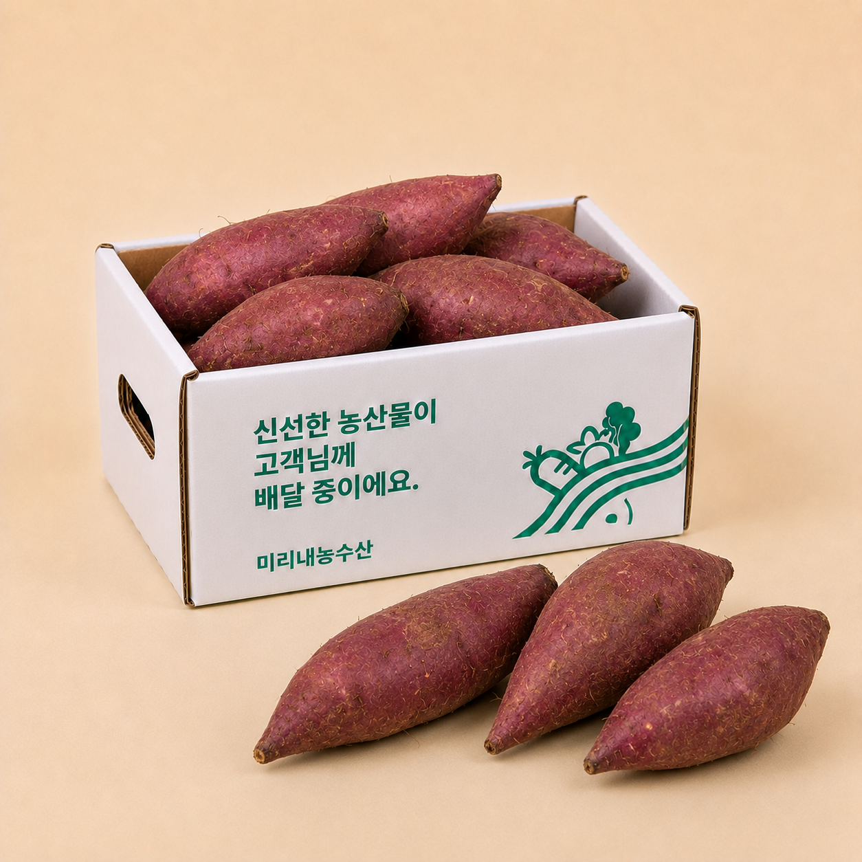 해남 황토 꿀 고구마 3kg 5kg 베니하루카 고구마 - 메인 이미지