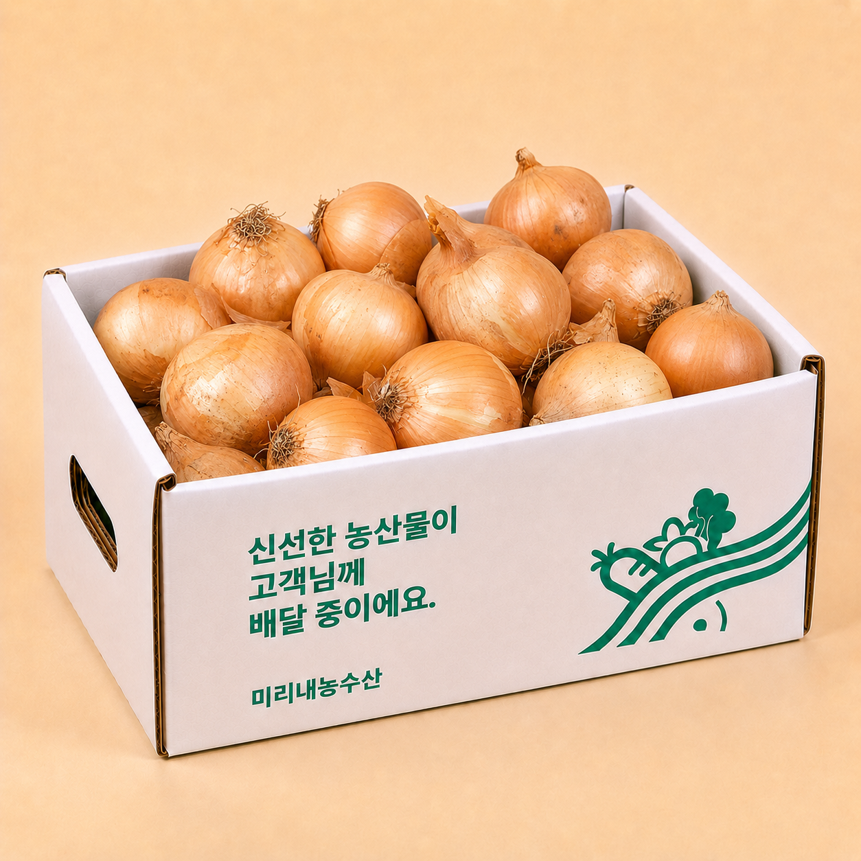 양파 깐양파 국내산 무안 햇양파 10kg 15kg 20kg - 메인 이미지
