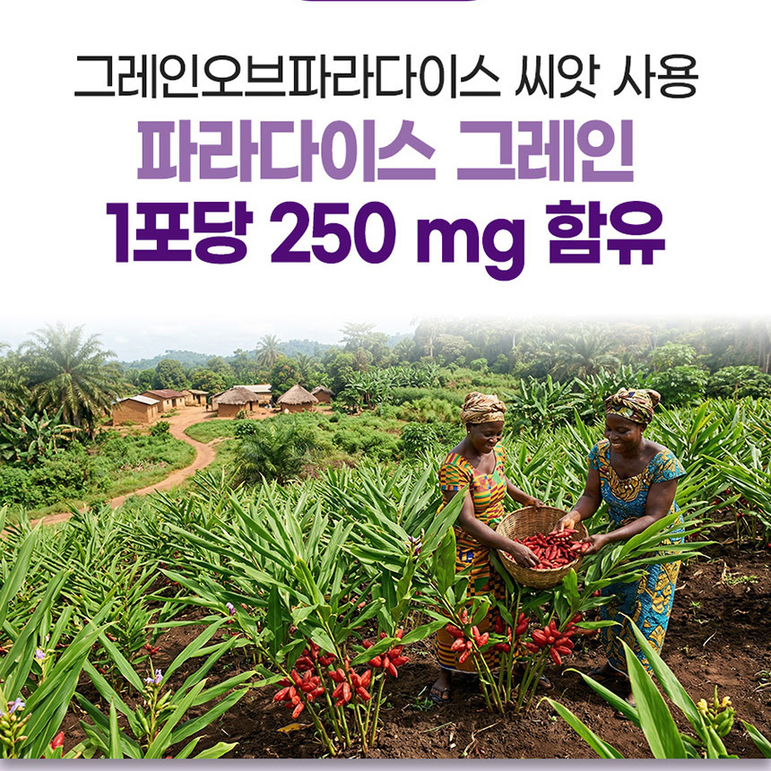 데일리 버닝 파라다이스그래인 6파라돌 파라다이스 그레인 효능 30포 - 상세 이미지 5