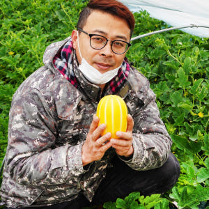 성주 꿀 참외 10kg 당일수확 산지직송 참외 가정용 맛있게 먹은 솔직 후기 - 상품 이미지 1