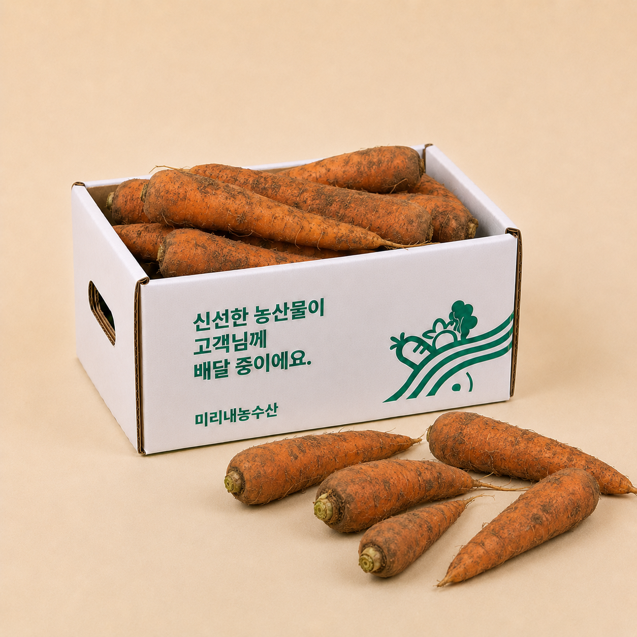 햇 당근 흙 제주 구좌 경남 창원 당근 10kg 5kg