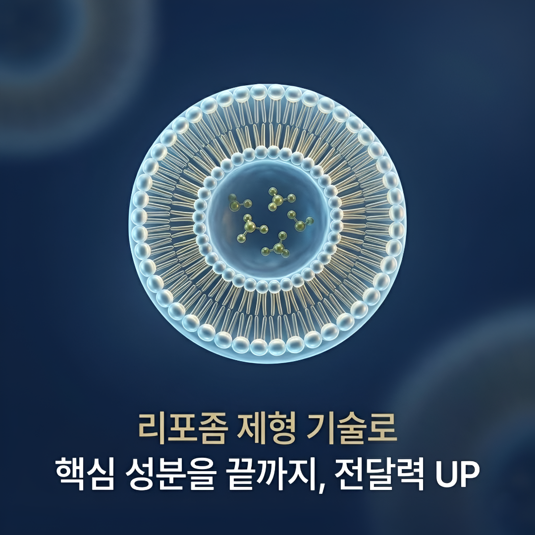 식물성 리포좀 멜라토닌 5mg 비코어포뮬러 30정, 1개 이미지 4
