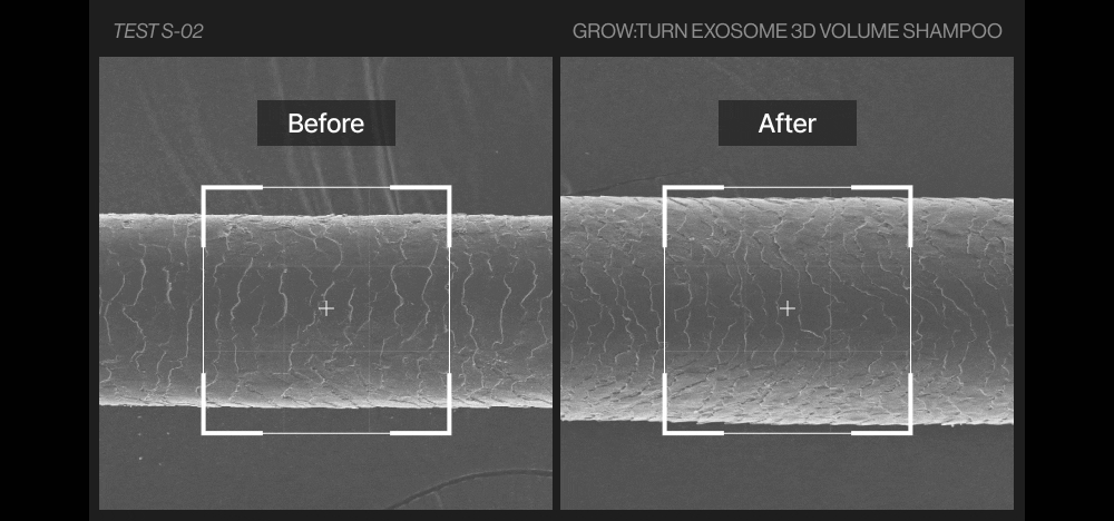 LILYEVE Growturn AD Exosome 3D Volume Shampoo - description 22