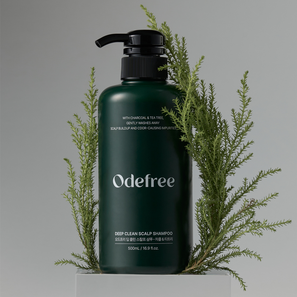 오드프리 딥 클린 스칼프 지성 두피 정수리 냄새 딥클렌징 샴푸 티트리, 500ml, 1개 - 상품 이미지