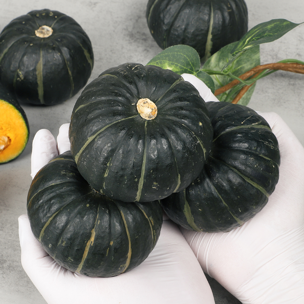 제주 미니 밤호박 보우짱 단호박 특품 3kg 5kg 10kg 이미지 6