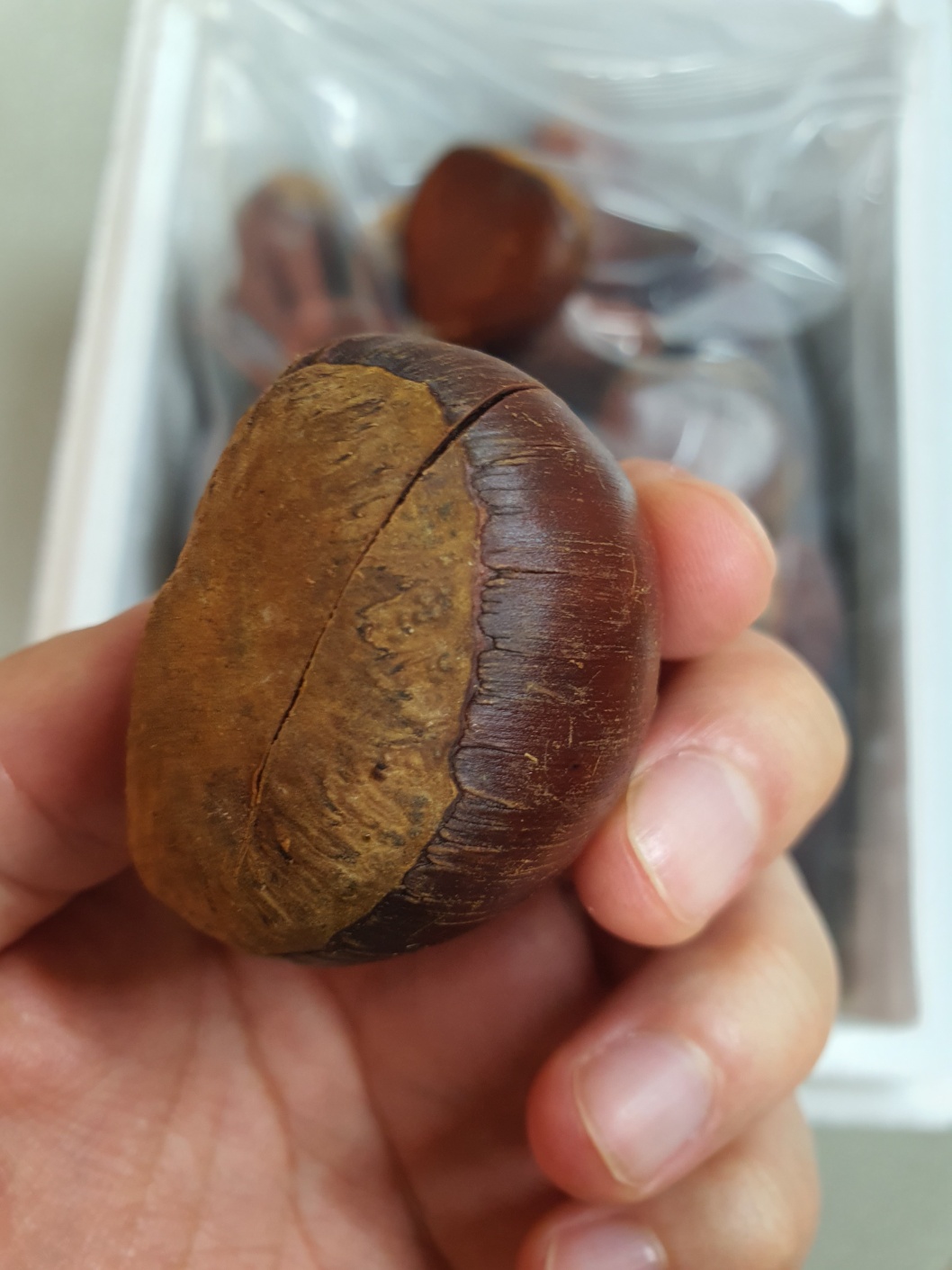 충남 부여 알밤 1kg / 대사이즈 / 달콤한 햇알밤 - 상품 이미지