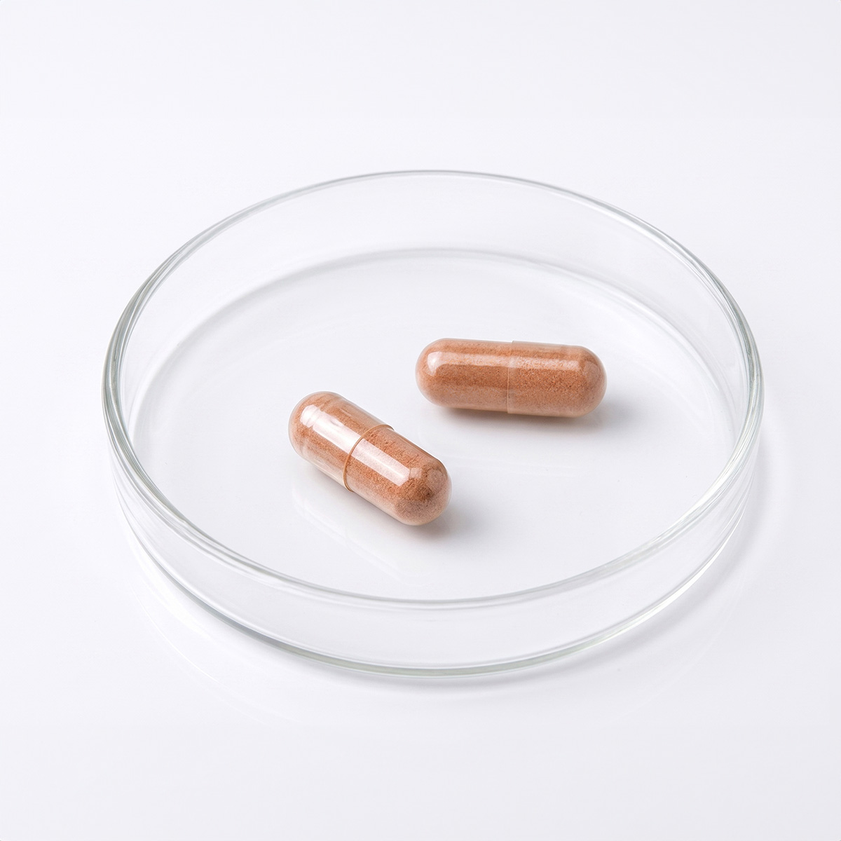 닥터브라이언 피크노제놀 100mg 호팍사 프랑스 해안 소나무껍질 60캡슐, 2개 - 상세 이미지 3