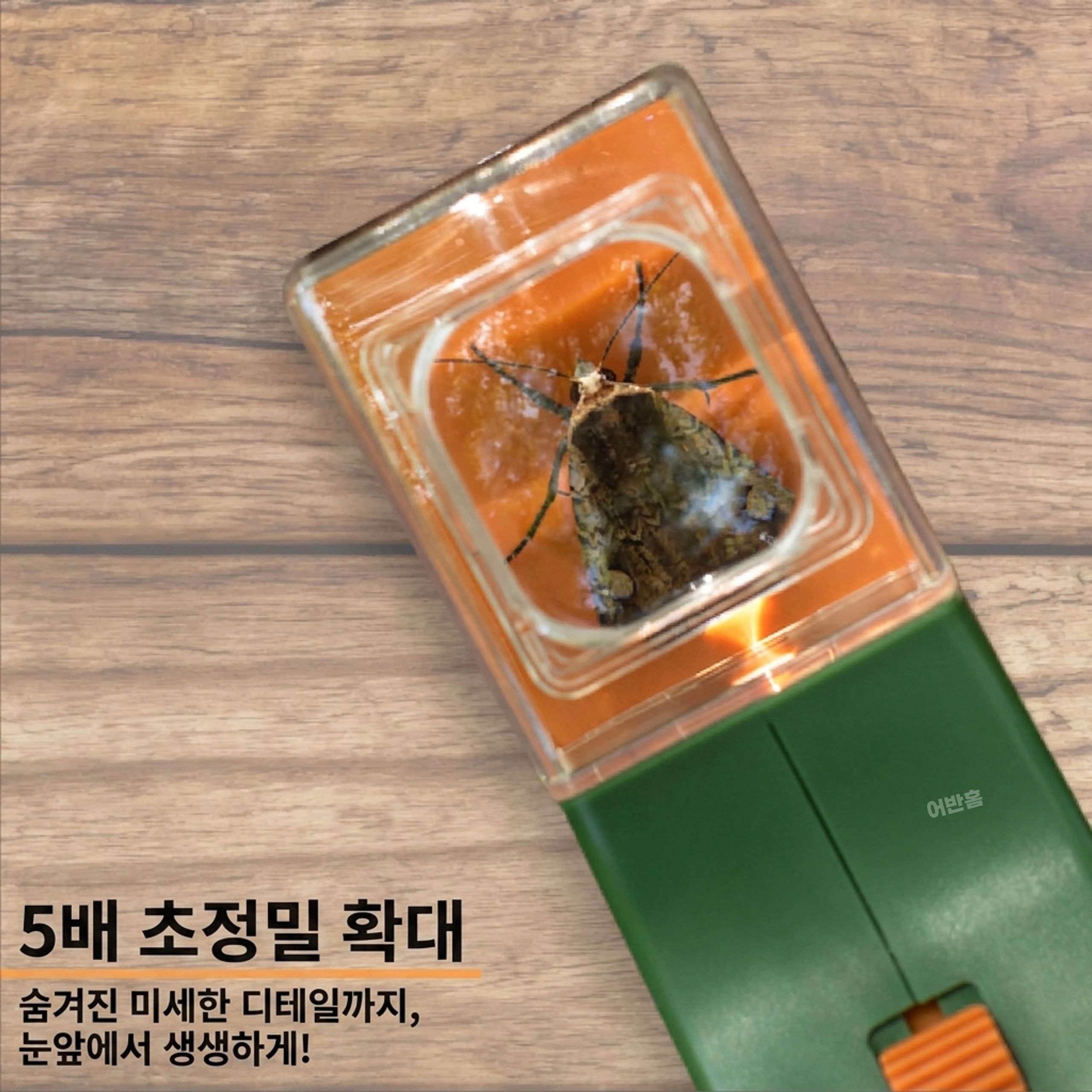 어반홈 돋보기 기능있는 벌레 채집기 - 상세 이미지 4