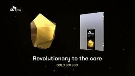 SK하이닉스 Gold S31 2.5 SSD (500GB)