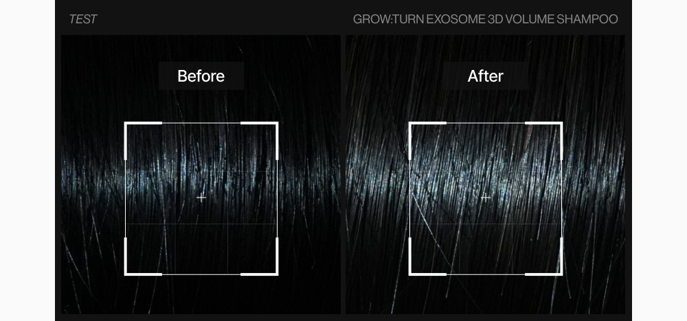 LILYEVE Growturn AD Exosome 3D Volume Shampoo - description 40