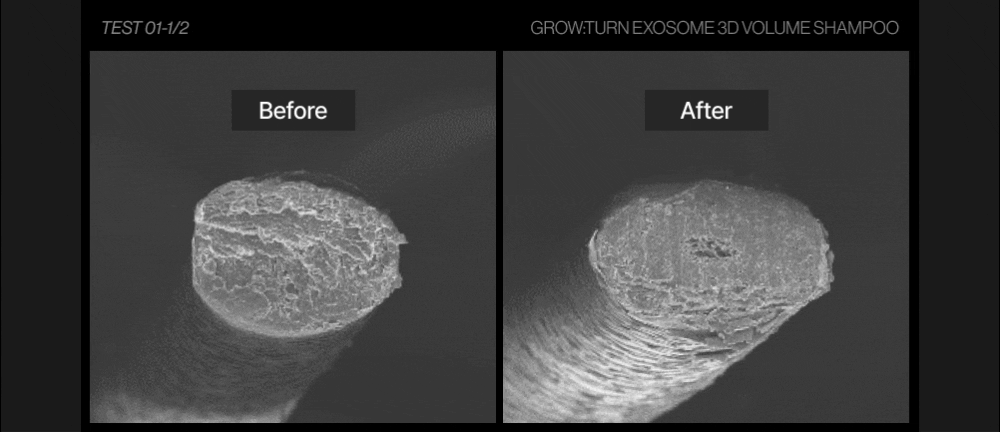 LILYEVE Growturn AD Exosome 3D Volume Shampoo - description 12