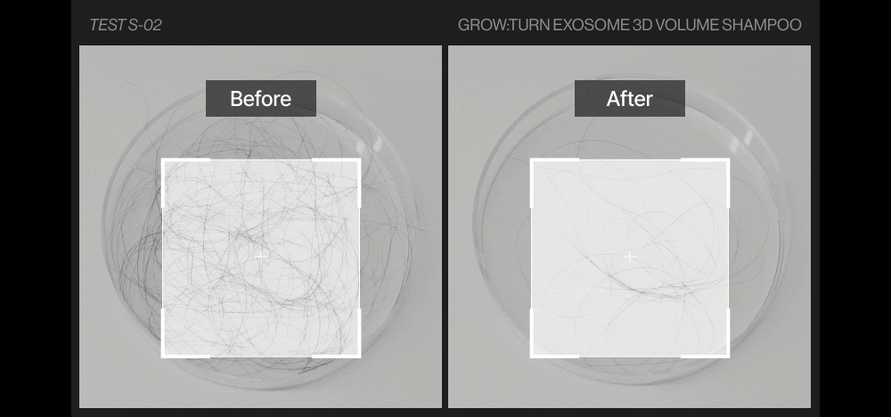 LILYEVE Growturn AD Exosome 3D Volume Shampoo - description 20