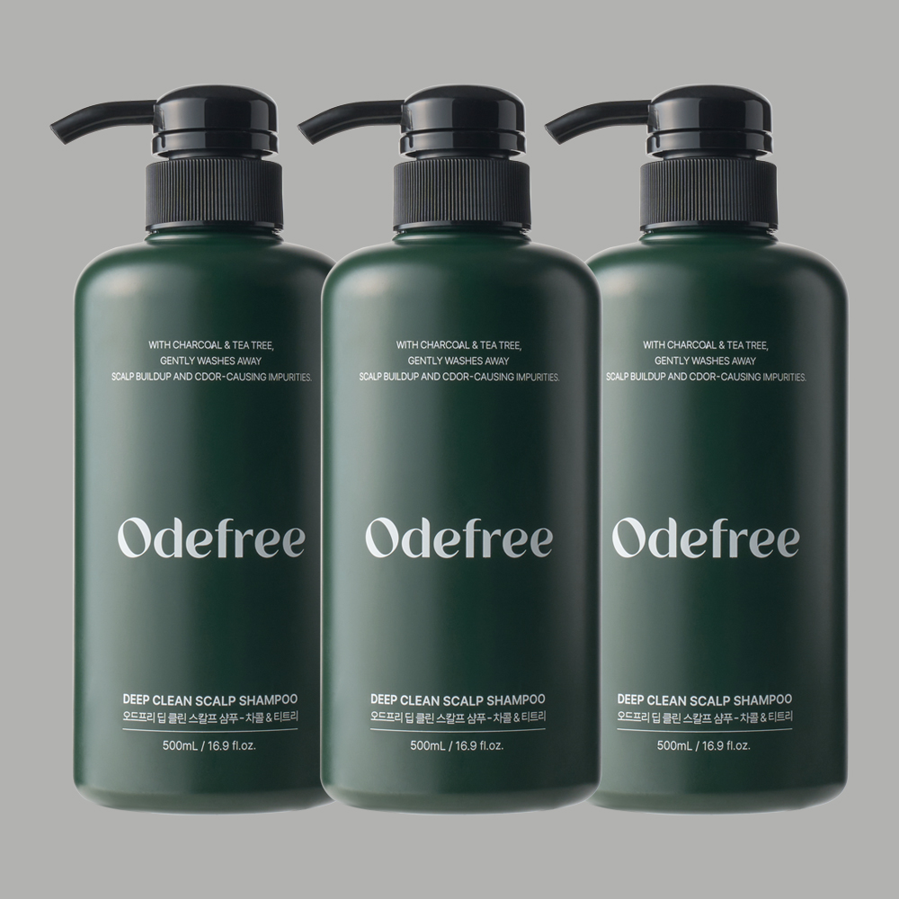 오드프리 딥 클린 스칼프 지성 두피 정수리 냄새 딥클렌징 샴푸 티트리, 500ml, 3개 - 상품 이미지