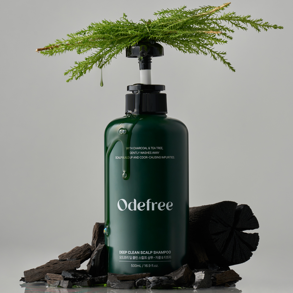 오드프리 딥 클린 스칼프 지성 두피 정수리 냄새 딥클렌징 샴푸 티트리, 500ml, 2개 - 상세 이미지 4