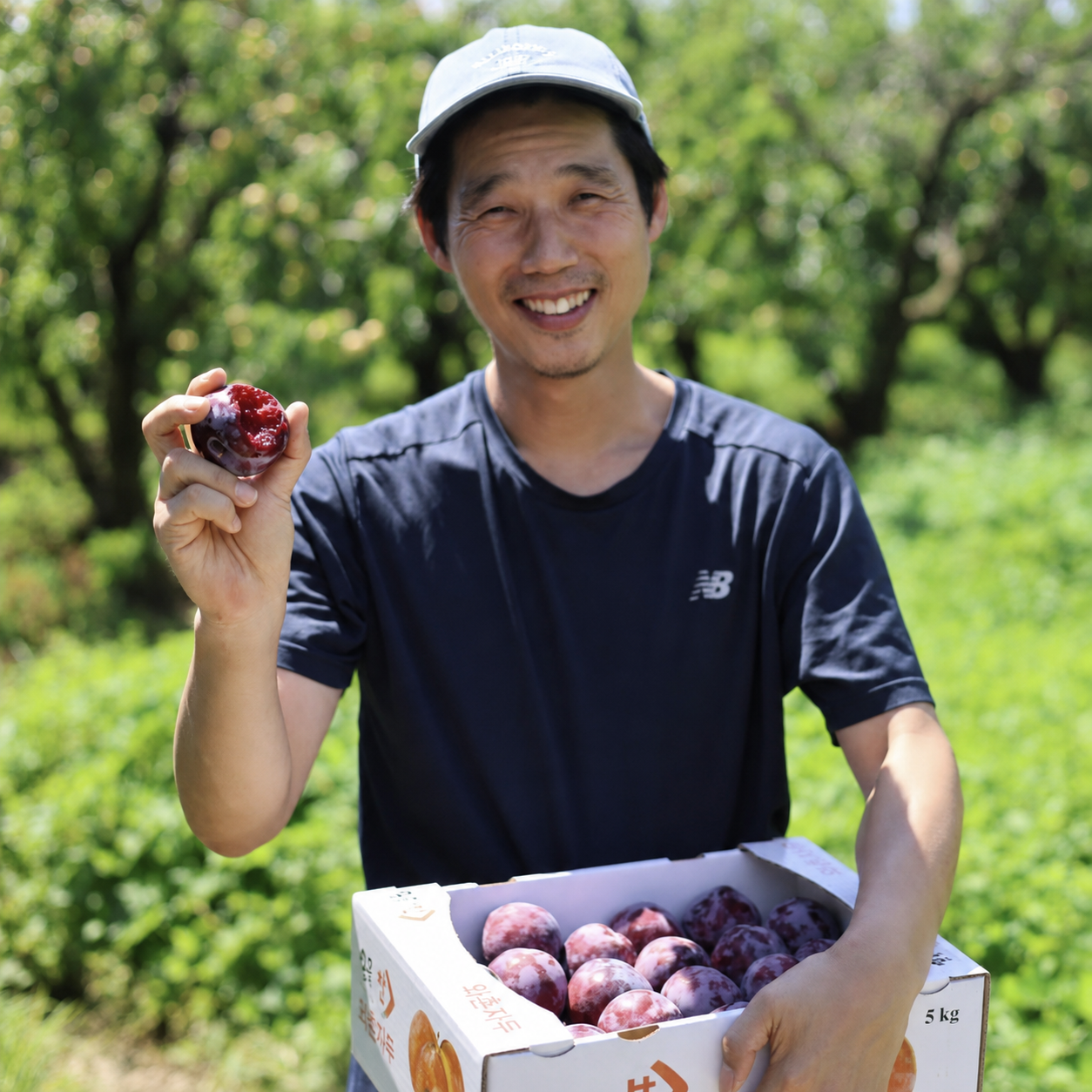 네이버 새벽딴 경산 와촌 후무사자두 1kg 2kg