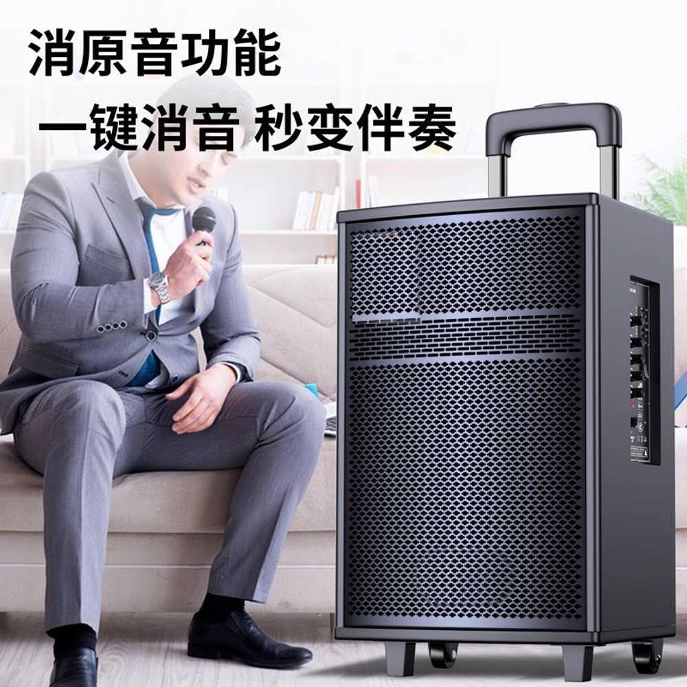 이동식 앰프 스피커 행사 노래방 야외용 행사용 강의 40cm 15인치(단품) - 상세 이미지 3