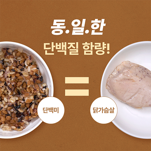 단백미 현미밥 즉석밥 식물성단백질 다이어트 프로틴 140g 10입 - 상세 이미지 3