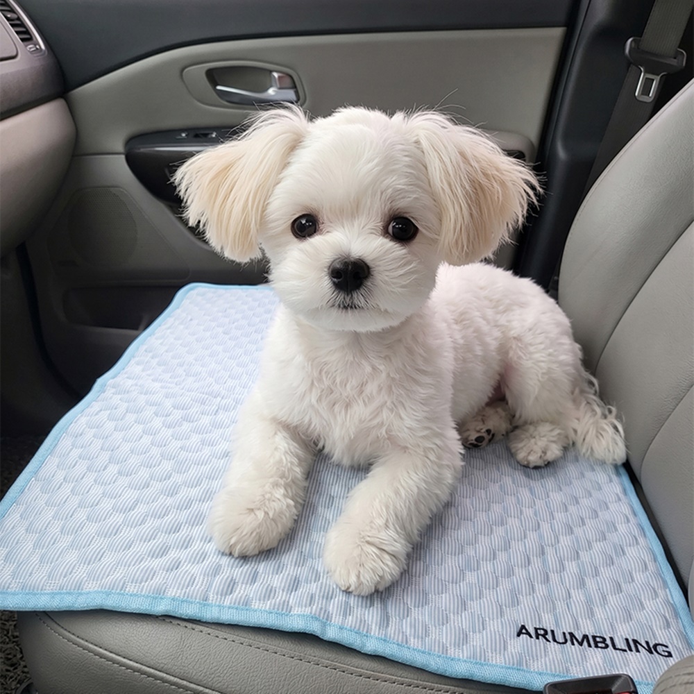 강아지 쿨매트 반려동물 고양이 여름매트 - 상세 이미지 2