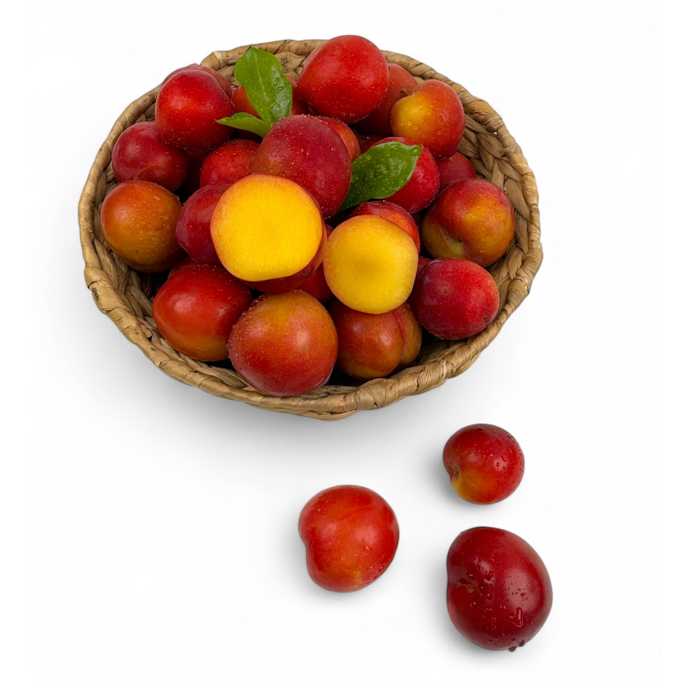 토해원 대석자두 고당도 후숙자두 상 중 1kg 2kg 3kg - 상세 이미지 5