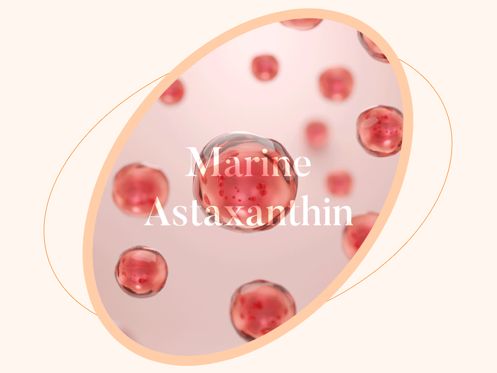 ampoule concentrée astaxanthine marine coréen