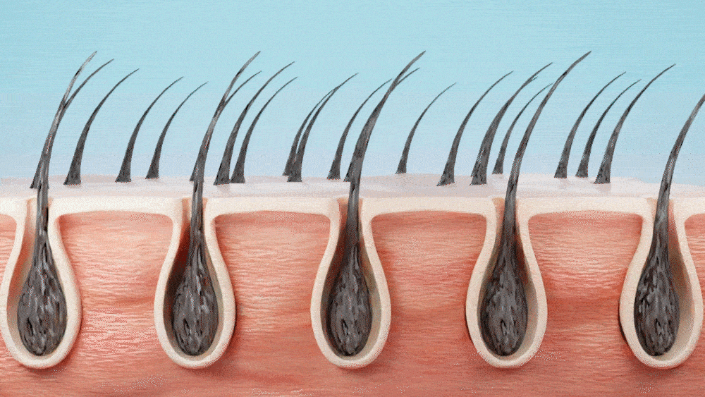 LILYEVE Scalpturn Cica PDRN Brush Ampoule - description 32