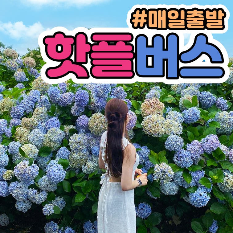 제주도 버스투어 패키지 원데이 택시관광 우도전기차 액티비티 가격 비교 핫플트립 제주도 버스투어 패키지 원데이 택시관광 우도전기차 액티비티