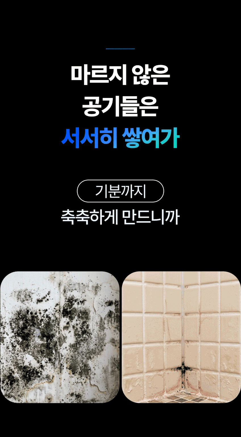 리베나 초슬림 제습기 8.5L 가정용 욕실제습기 드레스룸 원룸 미니 판매처 상세 정보 이미지 2
