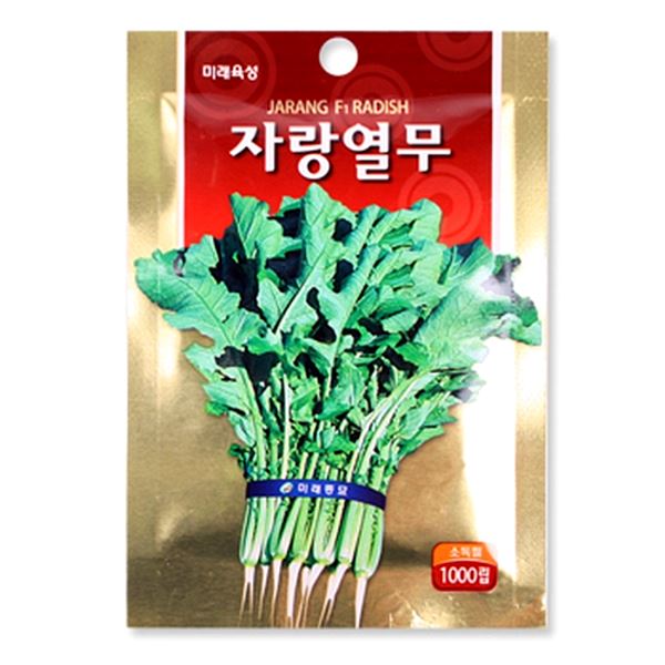 자랑열무 케일 텃밭가꾸기 치커리 당근 청경채 - 상품 이미지