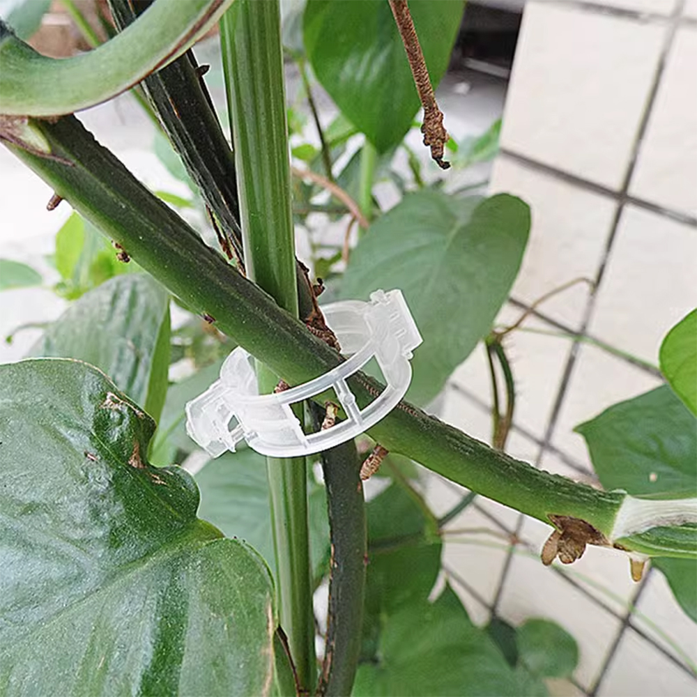 식물 화초 줄기 고정기 원예용 집게 10P 클립 - 상품 이미지