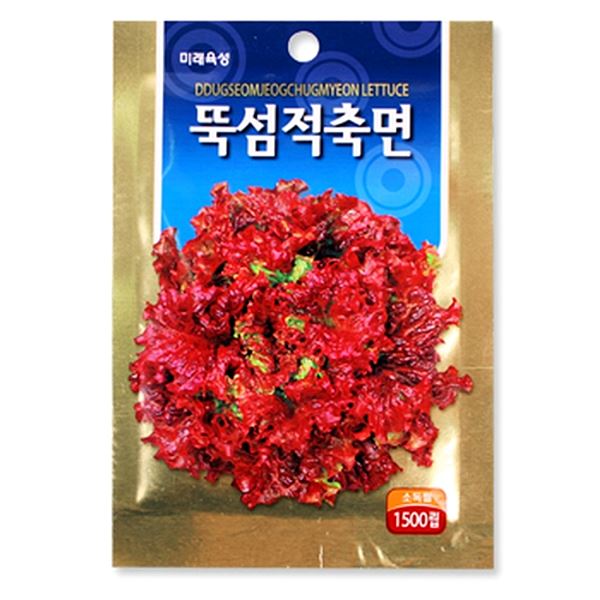 뚝섬적축면 치커리 청경채 케일 당근 텃밭가꾸기 - 상품 이미지