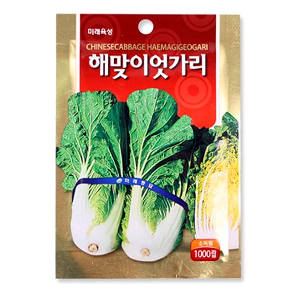 해맞이엇갈이 텃밭가꾸기 당근 청경채 케일 치커리 - 상품 이미지