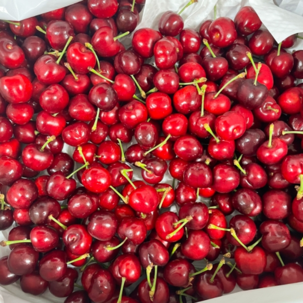 퍼스트프레시 슈퍼푸드 고당도 생체리 대과 9.5-10R, 500g, 1개 - 상세 이미지 2