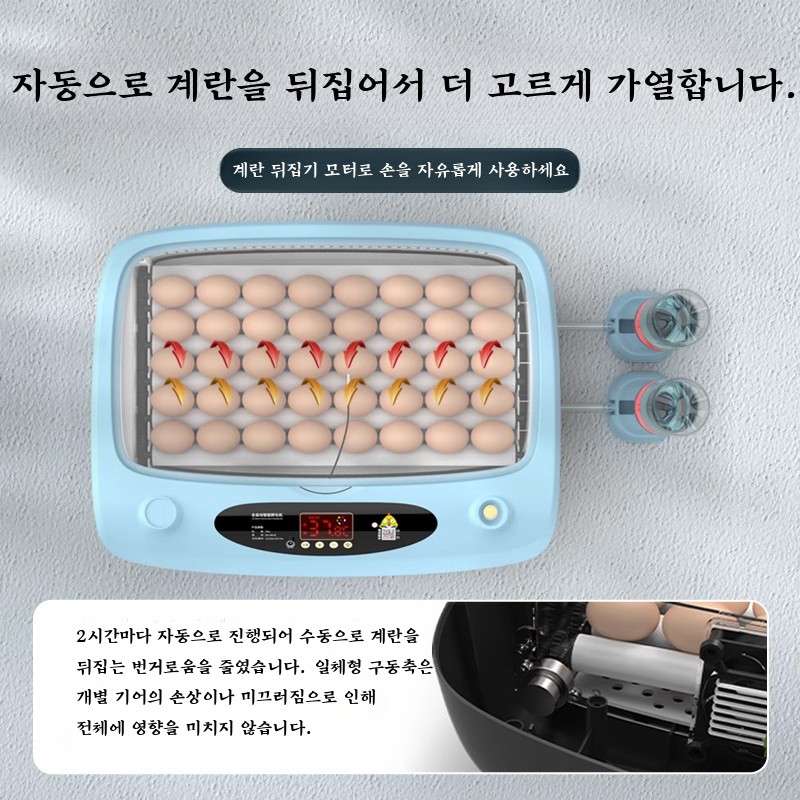 병아리 부화기 달걀 계란 조류 메추리 오리 닭 유정란 알 자동 부하기 앵무새 닭장 6란 - 상세 이미지 5