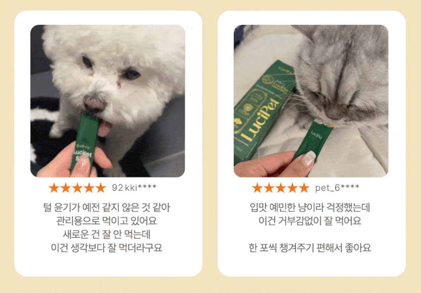 상세페이지