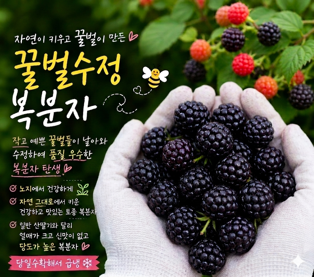 국내산 복분자 급냉 열매 급냉 꿀벌수정 산지직송 햇 토종 복분자 특품 2.5kg, 1개 - 상세 이미지 2
