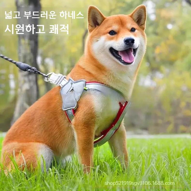 강아지 하네스 세트 반사 목줄 조끼 검정 하네스 XS 5-8파운드 - 상세 이미지 4