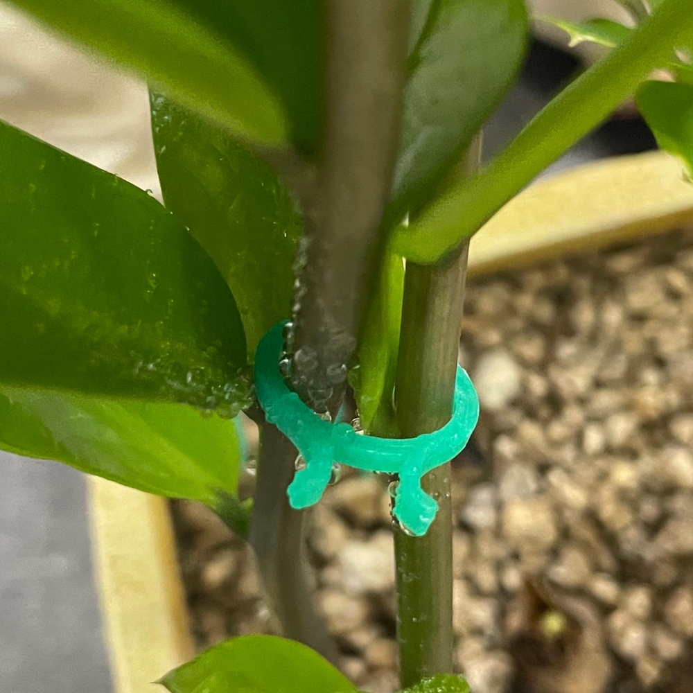 식물지 지대 고정 나비 클립 소형 20P 오이 집게 토마토 작물집게 - 상품 이미지
