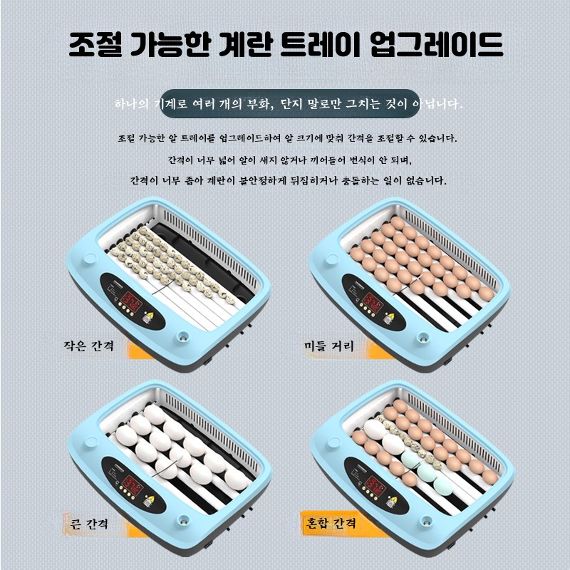 병아리 부화기 달걀 계란 조류 메추리 오리 닭 유정란 알 자동 부하기 앵무새 닭장 6란 - 상세 이미지 3