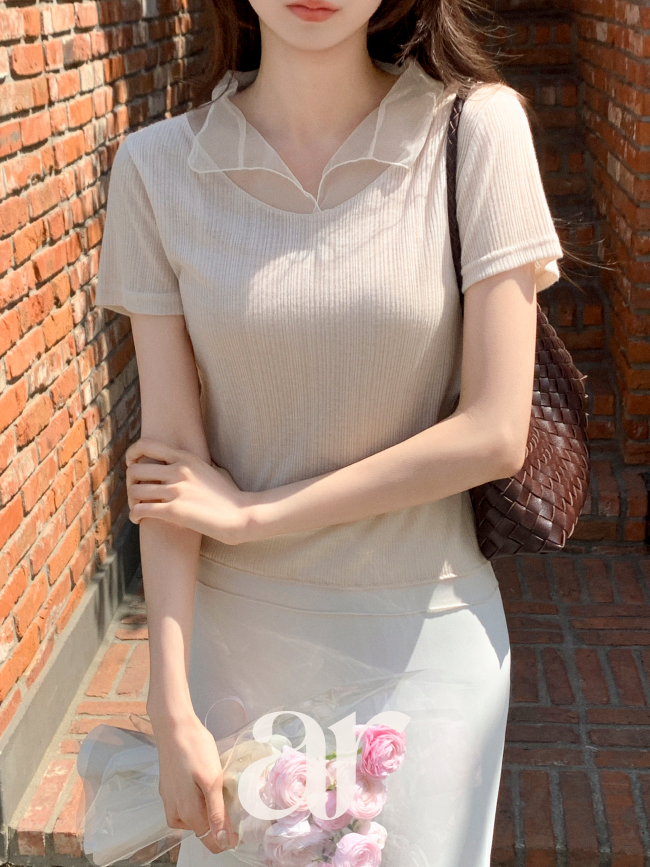 (국내제작) 카라 반팔 티셔츠 ts5004 - 상세 이미지 5